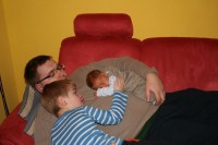 hauke1