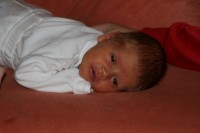 hauke5